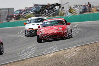 media/May-03-2025-Lucky Dog Racing (Sat) [[206de64b9d]]/Turn 4 B (1150am-130pm)/